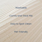 Revival Rugs Record 4'x6’ Machine Washable Area Rug - Image 2