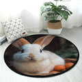 Soft and Cozy 3ft Small Round Rug Non-Slip, Washable Indoor/Outdoor Rug by DNOVING