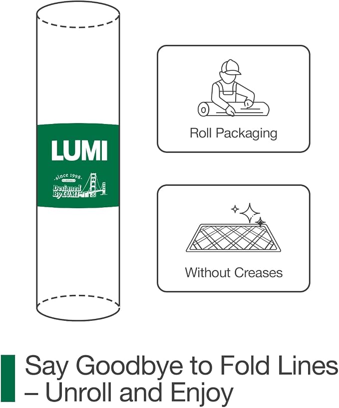 LUMI Indoor Door Mat, Absorbent Non-Slip Thin Doormat, Washable Door Mats - Image 5