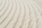 Revival Rugs Record 4'x6’ Machine Washable Area Rug - Image 5
