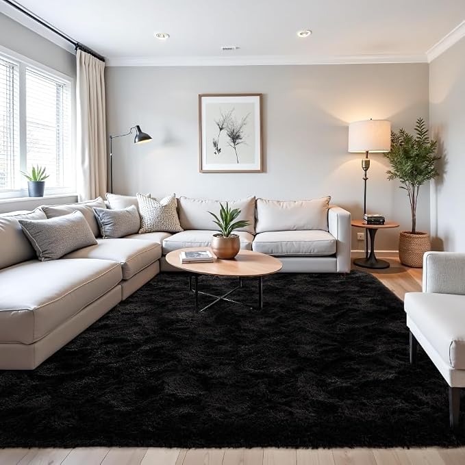 Beglad Shag Rugs for Living Room, Indoor Carpet Suitable for Boys Teens Room by Beglad