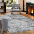 Area Rug 4x6 Washable Rug Grey for Living Room, Dining Room, Large Carpets by Unknown