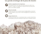 Real Sheepskin Rug 2x6 ft | Sheepskin Rugs - Image 5