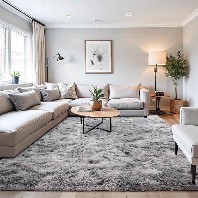Beglad Fluffy Area Rugs 4x6 Feet, Modern Minimalist Style Shag Rugs, Non-Slip by Beglad