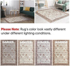 Keen Home Design 2x3 Rug - Image 7