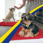 Muddy Mat® Shown on TV – Super Absorbent Microfiber Dog Door Mat - Image 5