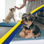 Muddy Mat® Shown on TV – Super Absorbent Door Mat Indoor, Microfiber Quick Dry - Image 2