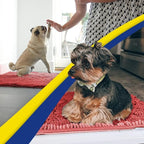 Muddy Mat® AS-SEEN-ON-TV Highly Absorbent Microfiber Door Mat and Pet Rug - Image 6