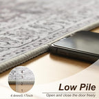 XWZO Entryway Area Rug 2x3ft — Soft Vintage Low Pile Non-Slip Backing Door - Image 5