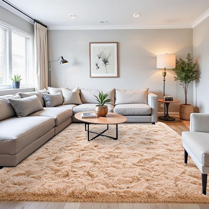 Beglad Shag Rugs for Living Room, Indoor Carpet Suitable for Boys Teens Room by Beglad