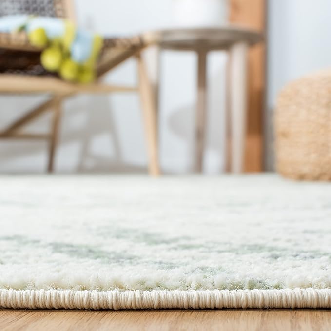 SAFAVIEH Adirondack Collection Area Rug - Image 6
