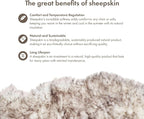 Sheepskin Long Hair 2x3 ft | Bedside Rugs - Image 4