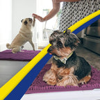 Muddy Mat® AS-SEEN-ON-TV Highly Absorbent Microfiber Door Mat and Pet Rug - Image 2