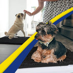 Muddy Mat® | Super Absorbent Door Mat Indoor, Microfiber Quick Dry Chenille - Image 2