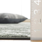 SAFAVIEH Adirondack Collection Area Rug - Image 2
