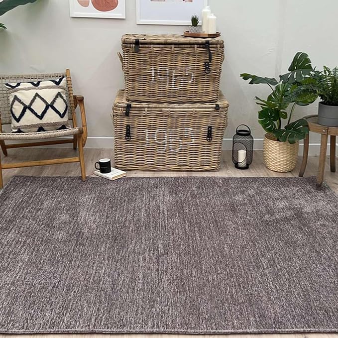 Alfa Rich 3x5 Dark Gray Washable Area Rugs - Image 3