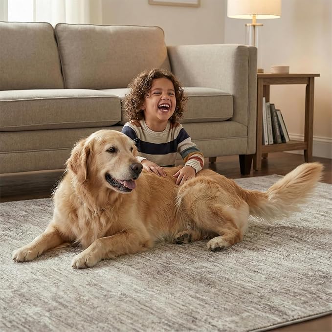 Garvee Modern Area Rug for Bedroom 5x7 Throw Rugs for Living Room, Machine - Image 3
