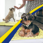 Muddy Mat® AS-SEEN-ON-TV Highly Absorbent Microfiber Door Mat and Pet Rug - Image 5