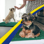 Muddy Mat® | Super Absorbent Door Mat Indoor, Microfiber Quick Dry Chenille - Image 2
