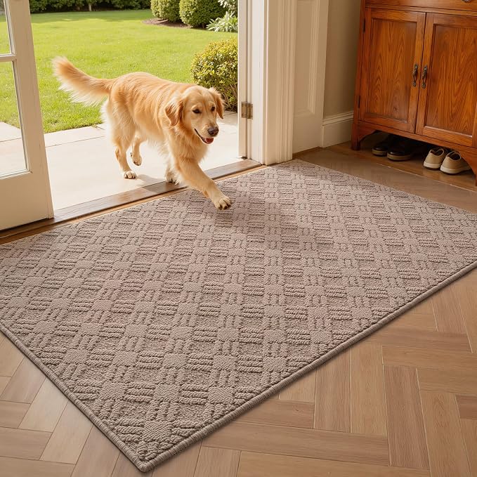 LUMI Indoor Door Mat, Absorbent Non-Slip Thin Doormat, Washable Door Mats by LUMI