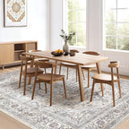 7x9 Area Rug Living Room: Washable Boho Large Neutral Vintage Soft Rugs Stain - Image 6