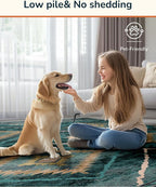 Area Rug 4x6 Rug Machine Washable Non-Slip Low Pile Print Pattern Western Rug - Image 4