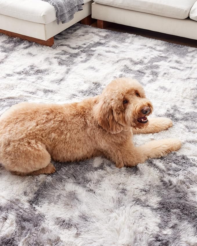 Ophanie Upgrade 8x10 Rugs for Living Room, Fluffy Shaggy Soft Area Rug - Image 6
