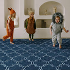 Amearea Fluffy Indoor Area Rug, Soft Trellis Moroccan Rugs - Image 3