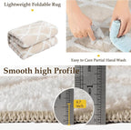 Ivory 5x7 Area Rug Moroccan Shag Living Room Washable Carpet Soft Non Shedding - Image 5