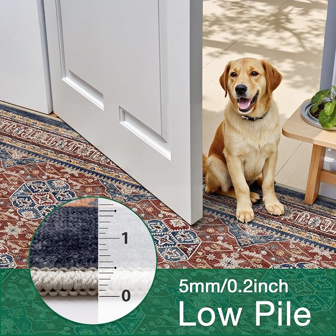 LUMI Washable Area Rug 5x8 for Living Room, Ultra Soft Stain Resistant Carpet - Image 8