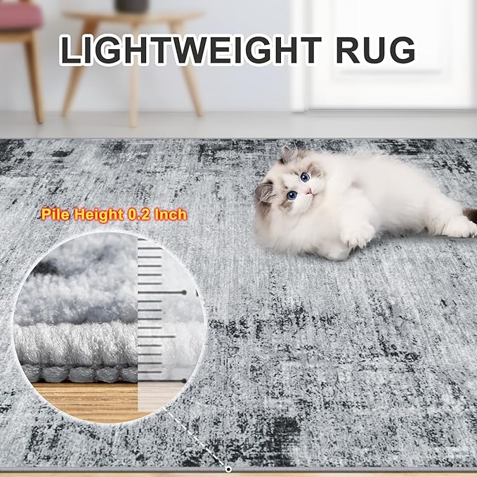 Area Rugs 10x12 Living Room - Image 6