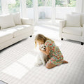 CAMILSON Modern White Non Slip Rug 4x6 Ultra Soft High Pile Area Rugs Non Skid by CAMILSONIndoorOutdoorAreaRugs