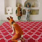 Amearea Fluffy Indoor Area Rug, Soft Trellis Moroccan Rugs - Image 3