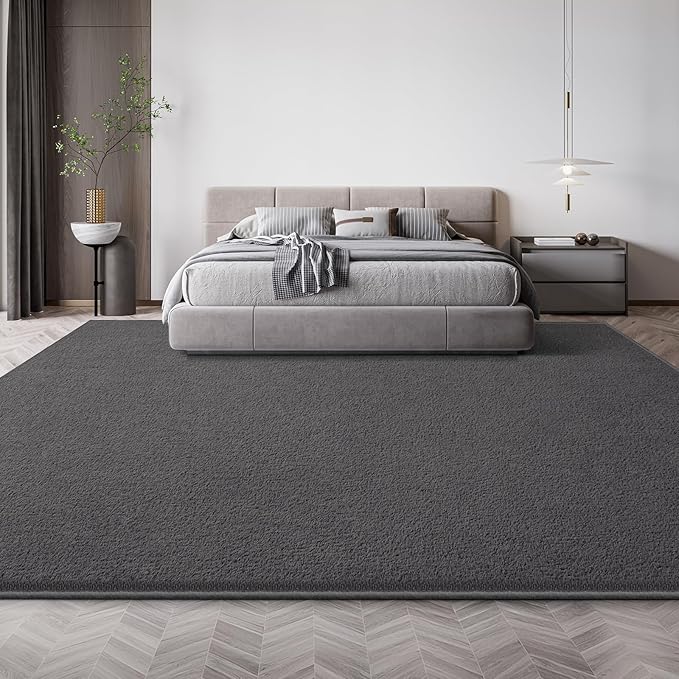 Modern Large Area Rug for Bedroom Living Room, 4x6 Feet Dark Grey Thickened - Image 4