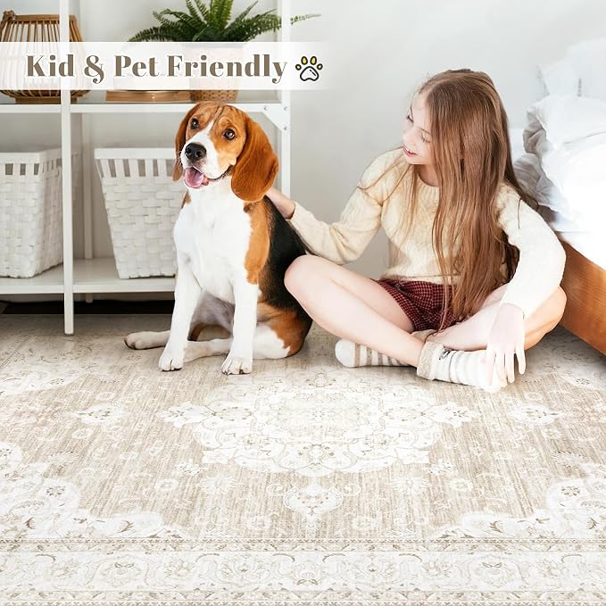 Vintage Living Room Area Rug - Image 3