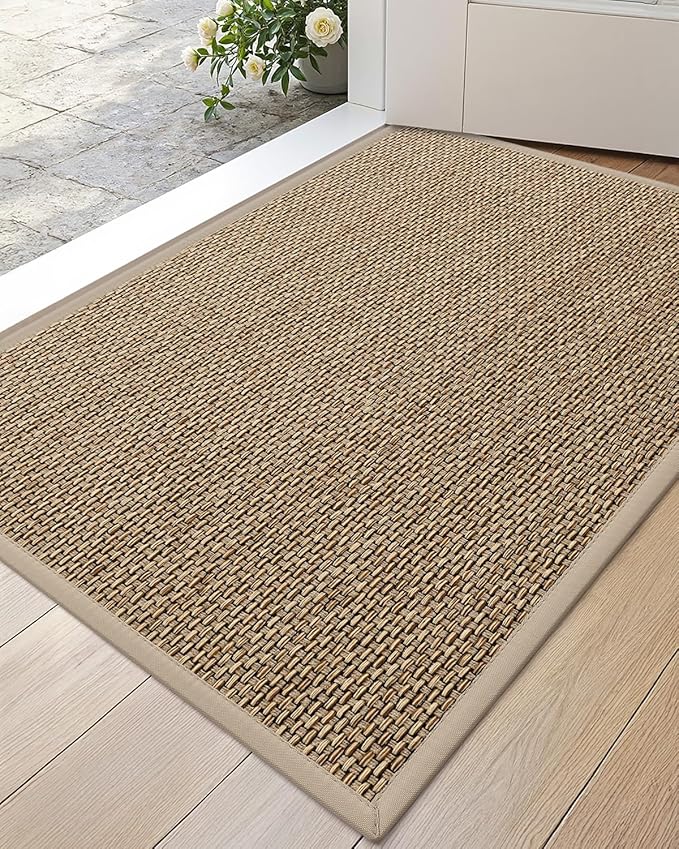 DEXI Ultra Thin Entryway Door Mat 17x30, Non Slip Rubber Backing Inside Entry by DEXI