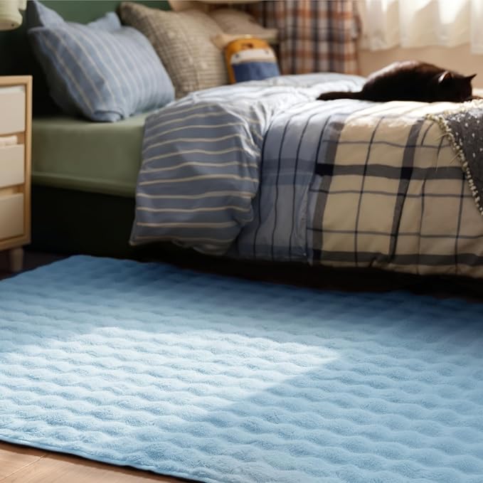 Bedsure 3x5 Fluffy Area Rugs for Living Room, Machine Washable Rugs, Non-Slip - Image 3
