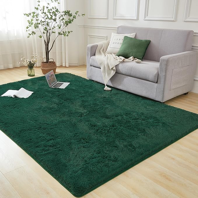 Andency 6x9 Area Rugs Emerald Green, Large Shag Fluffy Soft Shaggy Rugs by Andency
