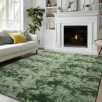 Andency Soft Area Rugs for Living Room Bedroom, 3x5 Non-Slip Fluffy Shag Carpet by Andency