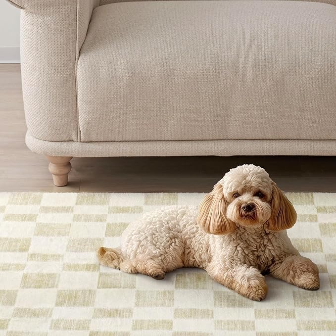 EVERGRACE Checkered Plaid Area Rug 6x9, Soft Faux Wool Rugs Washable Anti Slip - Image 5