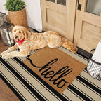 Striped Outdoor Rug 3'x5', Cotton Hand Woven Rug Front Door Mat, Washable - Image 6