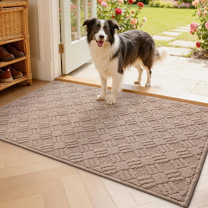 LUMI Indoor Door Mat, Absorbent Non-Slip Thin Doormat, Washable Door Mats by LUMI