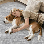 8ft Round Rug Living Room: Washable Large Vintage Rug Neutral Non-Slip Soft - Image 7
