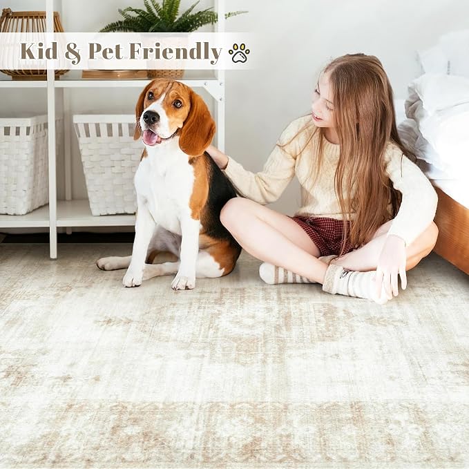Vintage Living Room Area Rug - Image 4