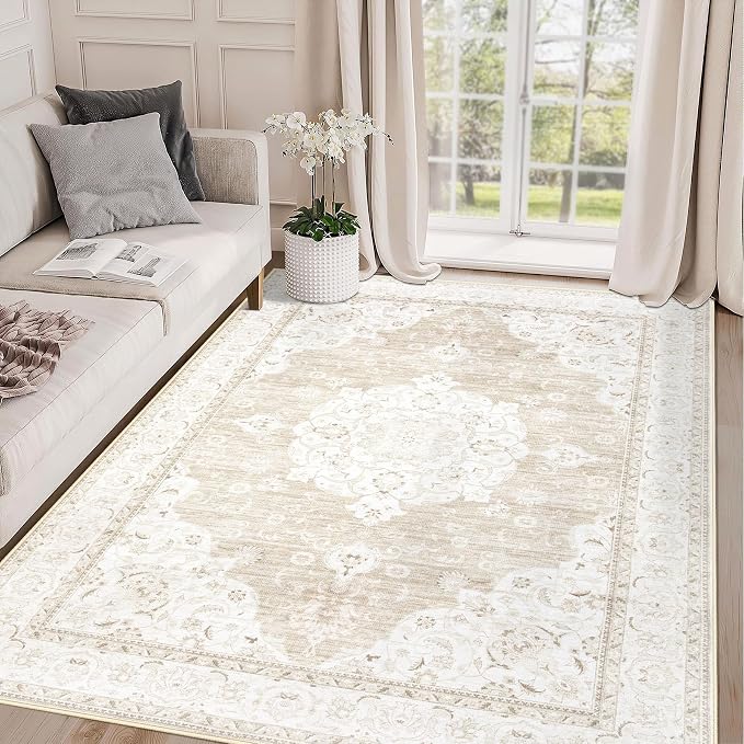 Area Rug 4x6 Entryway Rugs by AOYAOMI