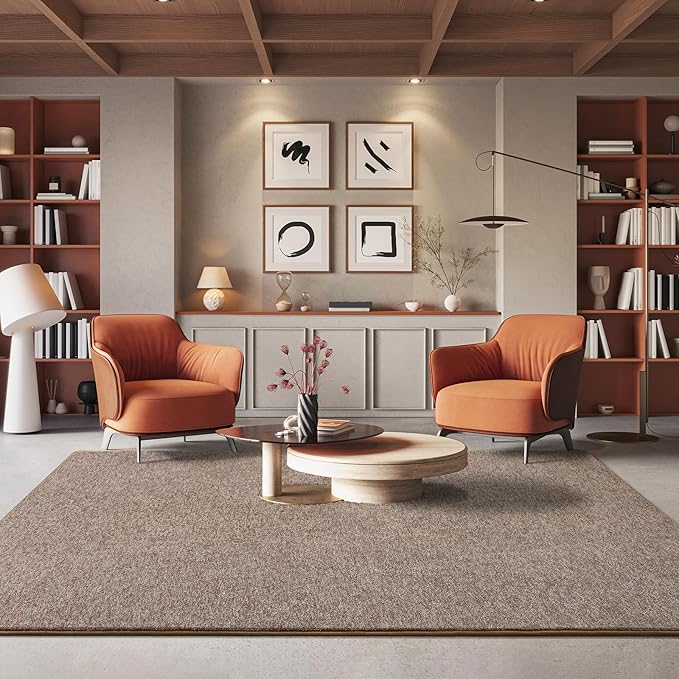 AROGAN Washable 5×7 Living Room Rug, Modern Area Rugs - Image 6