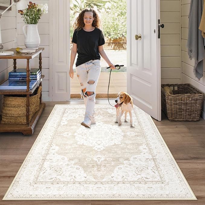 Area Rug 3x5 Entryway Rugs by AOYAOMI