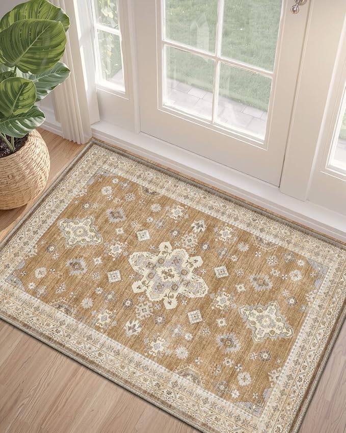 DEXI Area Rugs for Entryway 2x3, Washable Low Pile Vintage Traditional Entry by DEXI
