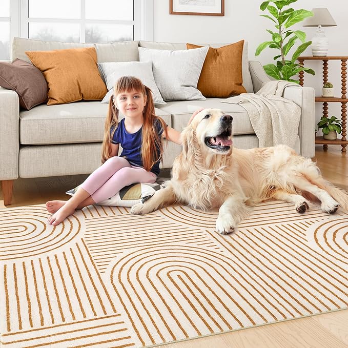 Lahome Abstract Bedroom Rugs, Soft Washable Area Rugs 4x6 Non Slip Rainbow - Image 5