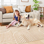 Lahome Abstract Bedroom Rugs, Soft Washable Area Rugs 4x6 Non Slip Rainbow - Image 5